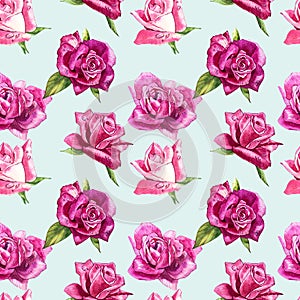 Natural pink roses background. Seamless pattern of red and pink roses, watercolor illustration.