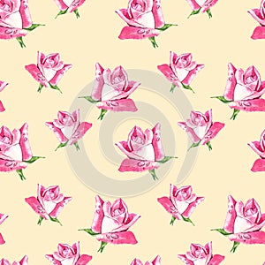 Natural pink roses background. Seamless pattern of red and pink roses, watercolor illustration.