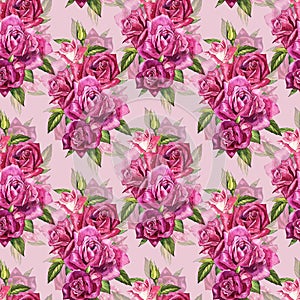 Natural pink roses background. Seamless pattern of red and pink roses, watercolor illustration.