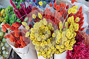 Natural plant dried flowers home decoration eternal flower bouquets with a floral grass with multicolored gems flores photo
