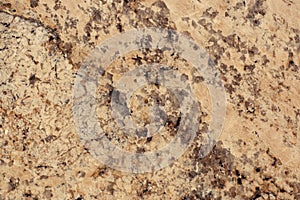 Natural polished stone granite is called Giallo Veneziano photo