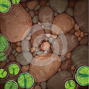 Natural pond top view