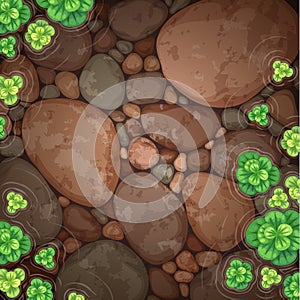 Natural pond top view