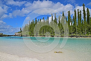 Natural Pool with fine white sand and ascending pine trees in the background