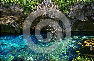 Crystal clear blue natural pool `gran cenote` in Mexiko photo