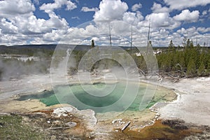 Natural pool. Hot spring, Yellowstone National Park. Wyoming. US