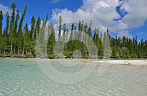 Natural Pool with little sandbar on the right and row of pine trees behind at Ile des Pins