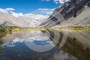 Natural Pool in Nubra Valley, India