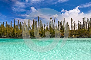 Natural pool of Oro Bay, Isle of Pines