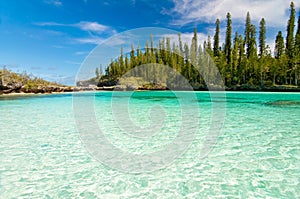 Piscina de bahía una isla de pino 