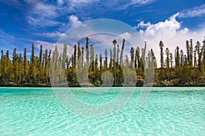 Natural pool of Oro Bay, Isle of Pines photo