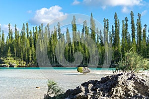 Naturale piscina da baia un'isola da pino nuovo 