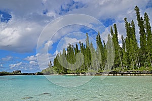 Natural Pool row of ascending tall pine trees, heavy white clouds & turquoise clear water in Ile des Pins island, New Caledonia