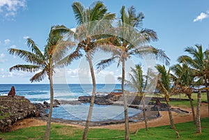 Natural pool surrounded by palm trees, in Hanga Roa, Easter Island