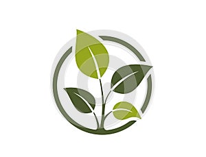 natural product icon. sprout in a circle. eco friendly, organic and bio symbol. isolated vector illustration