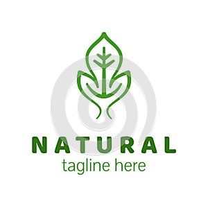 Natural product logo design. Template green leaf icon isolated. Eco organic symbol.