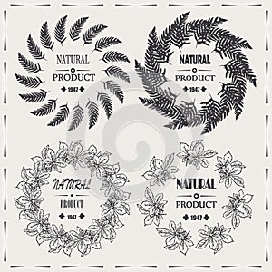 Natural product vintage vector label, frames design elements