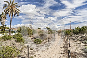 Natural protected area Els Muntanyans in Torredembarra,Costa Dorada,Catalonia,Spain.