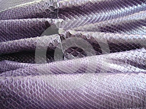 Natural python skin texture. Purple haberdashery snake skin.