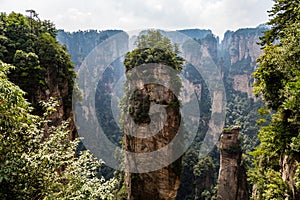 Natural quartz sandstone pillar Hallelujah Mountain, 1,080 m is located in the Zhangjiajie Wulingyuan National Park, China