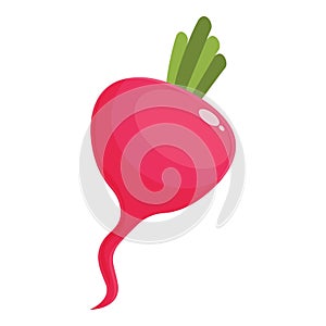 Natural radish icon cartoon vector. Food plant