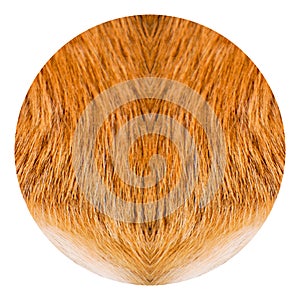 Natural real beige and brown round goatskin texture