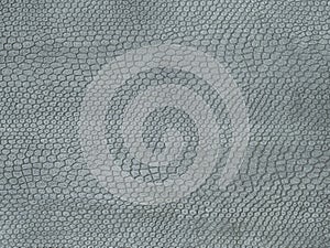 Natural, real grey snake leather texture