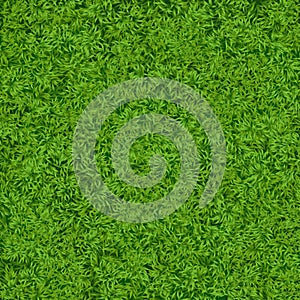 Natural realistic green grass texture background. Soccer grass top template.