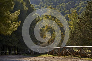 Natural recreational area of the Andalusian town of Humilladero in Malaga. Spain photo