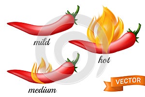 Natural red hot chili pepper pod in fire flame with mild, medium and hot different spicy levels. Realistic vector illustration of