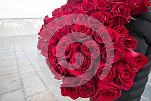 Natural red roses background. Great gift for valentines day, birthday, and marriage.