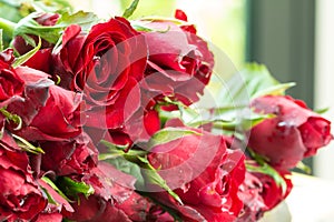 Natural red roses. using as Valentines Day background, wedding day, Symbol of Valentine`s day.