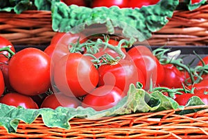 Natural red tomatos in a wicker basket. Empty copy space
