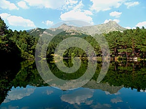 Natural reflection in a lake