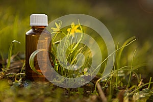 Natural remedies, aromatherapy - bach therapy