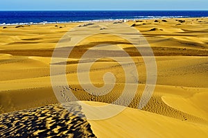 Natural Reserve of Dunes of Maspalomas, in Gran Ca