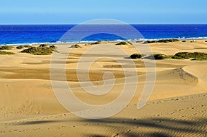 Natural Reserve of Dunes of Maspalomas, in Gran Canaria, Spain