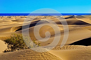 Natural Reserve of Dunes of Maspalomas, in Gran Canaria, Spain