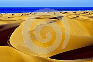 Natural Reserve of Dunes of Maspalomas, in Gran Canaria, Spain