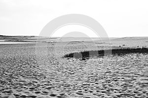 Natural Reserve of the Lagoons of Santo Andre and Sancha photo