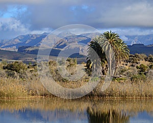 Natural reserve of Maspalomas, Gran Canaria, Spain