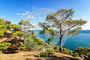 Natural reserve of mount Karaul-Oba, Crimea, city of Sudak, Black sea