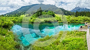 The natural reserve of Zelenci, Kranjska Gora, Slovenia.