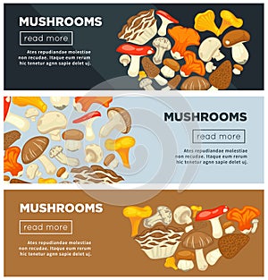 Natural ripe mushrooms from forest grown without pesticides