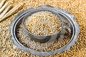 Natural,ripe wheat grains in the vintage metal bowl on grains background with wheat ears