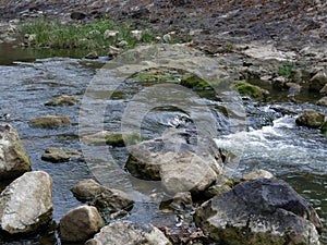 Natural River In a Forest: Silky River Flow Among Mossy Rocks