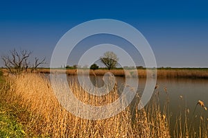 Natural river landscape neaby Magdeburg