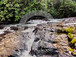 Natural River Palembang, indonesia photo