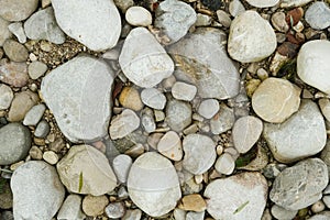 Natural River Stone Background and Texture