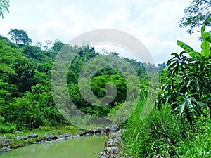 Natural river sumedang